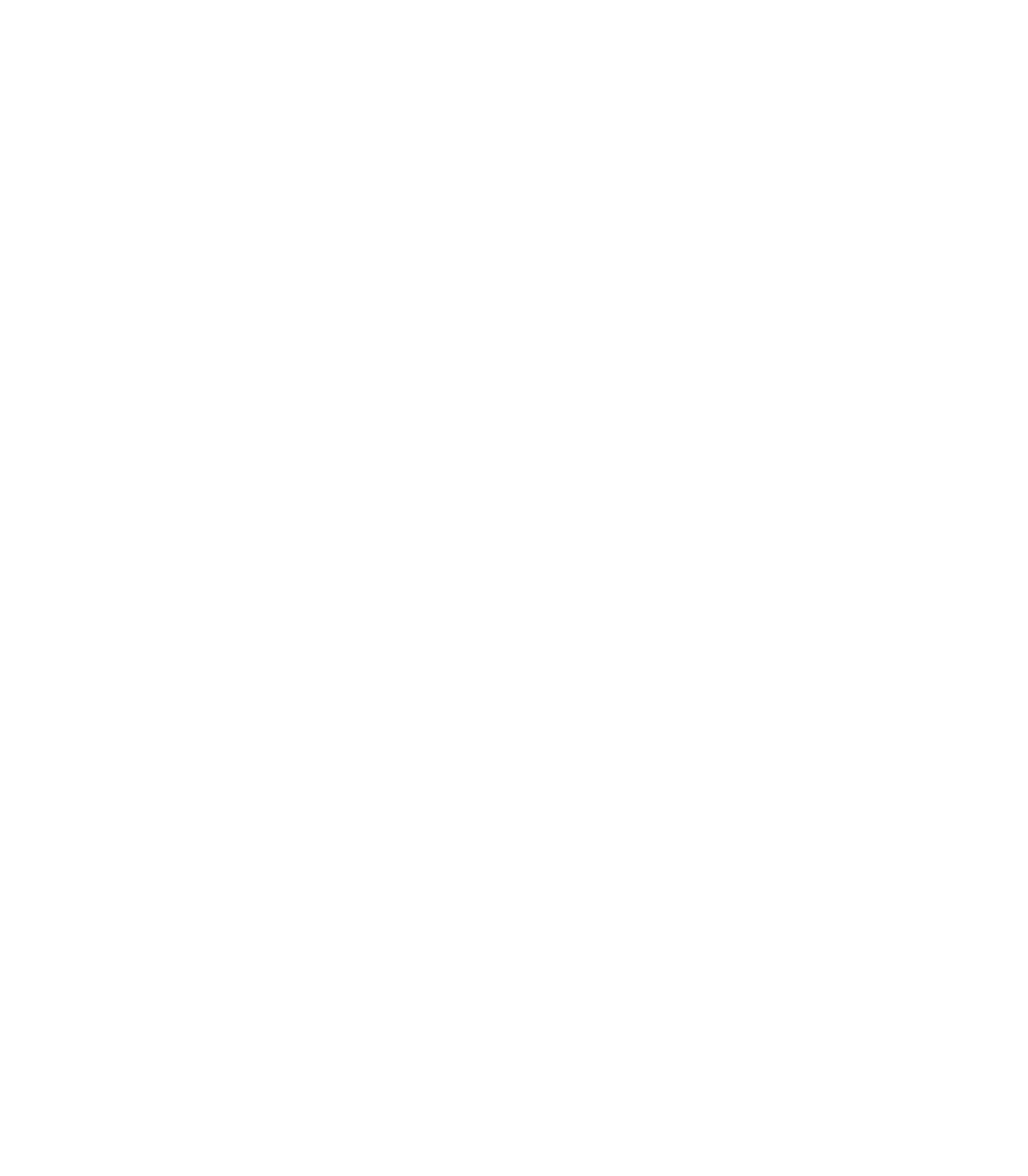 Flynq Logo